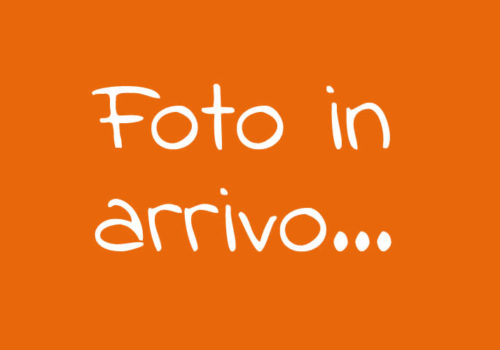 fotoinarrivo fotoinarrivo